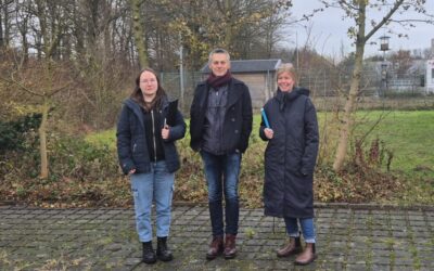 Wir gestalten unser Firmengelände naturnah